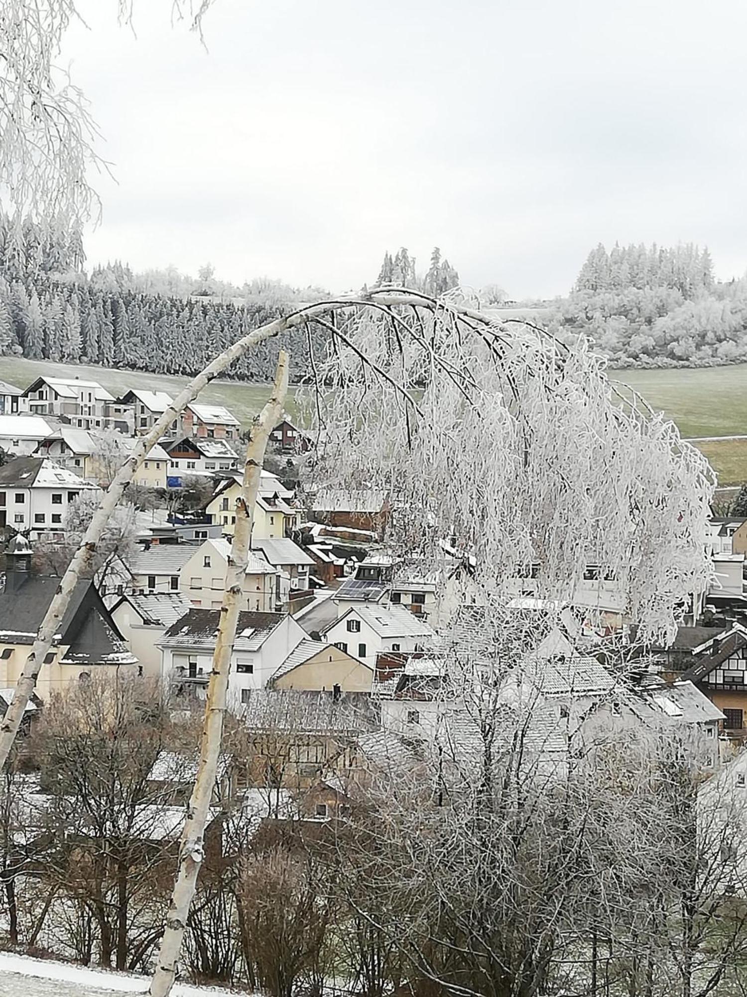 Am Lindenbaum, Ferienwohnung In Siebenbach Am Nuerburgring Экстерьер фото
