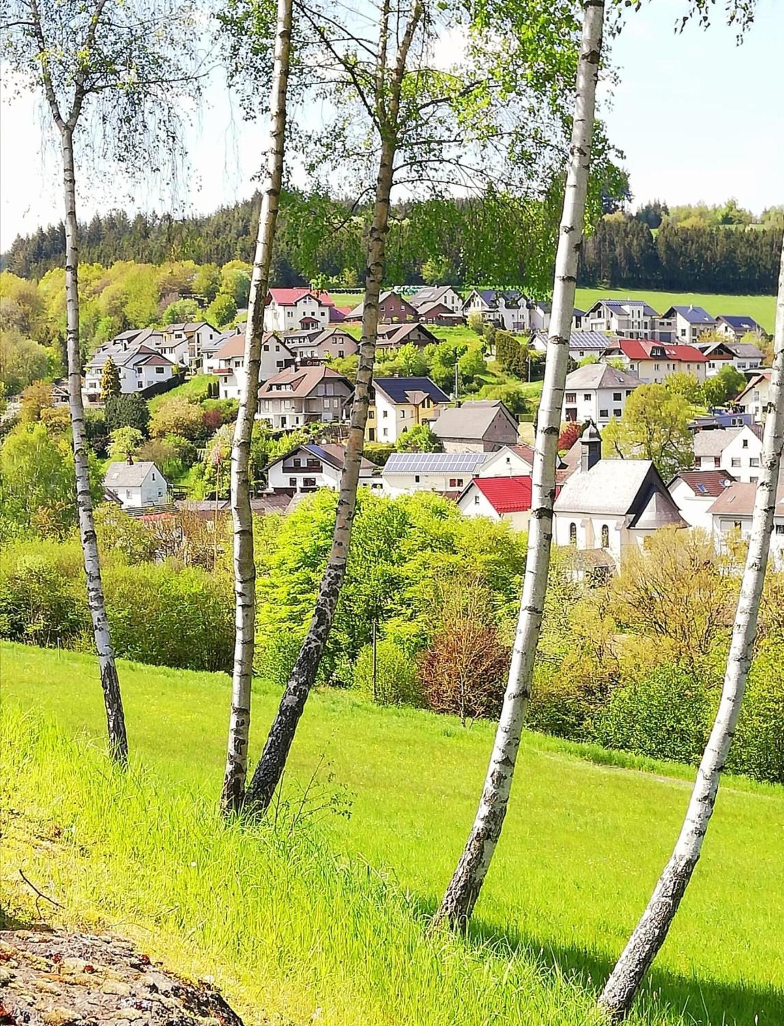 Am Lindenbaum, Ferienwohnung In Siebenbach Am Nuerburgring Экстерьер фото